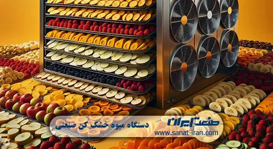 دستگاه میوه خشک کن های صنعتی