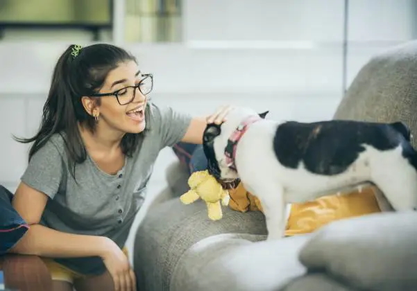 دستگاه تولیدی ۵۰ میلیونی