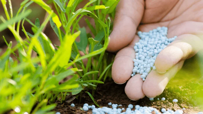 سو آور ترین خطوط تولیدی