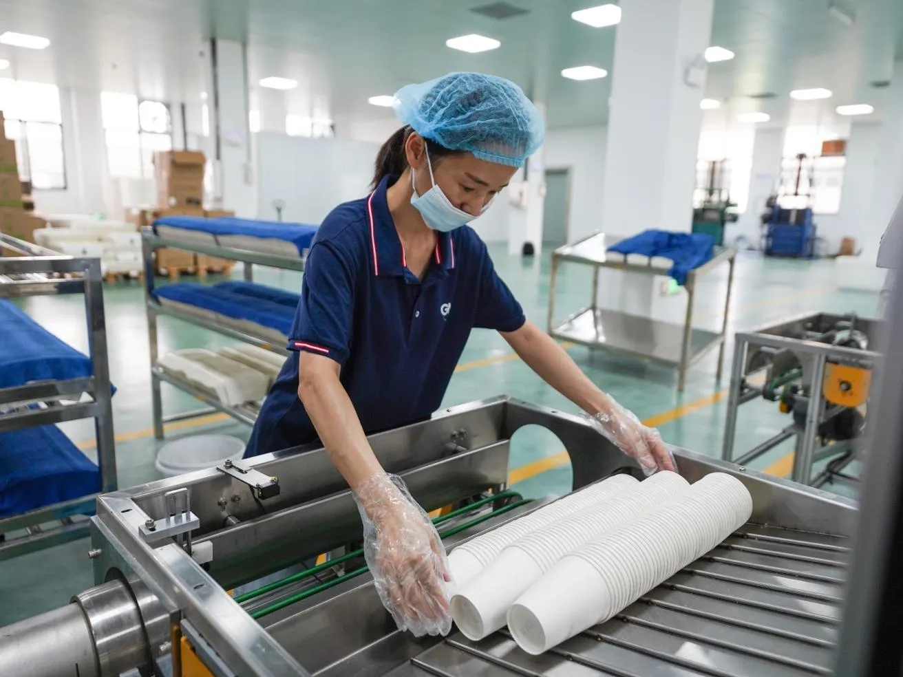 عوامل موثر بر سرمایه لازم برای تولید ظروف یکبار مصرف